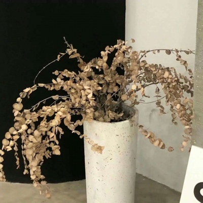 Furry原创作品欣赏福瑞交流群